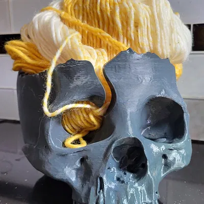 Tô Đựng Len Hình Đầu Lâu