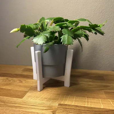 Chân Đỡ Chậu Cây Đơn Giản