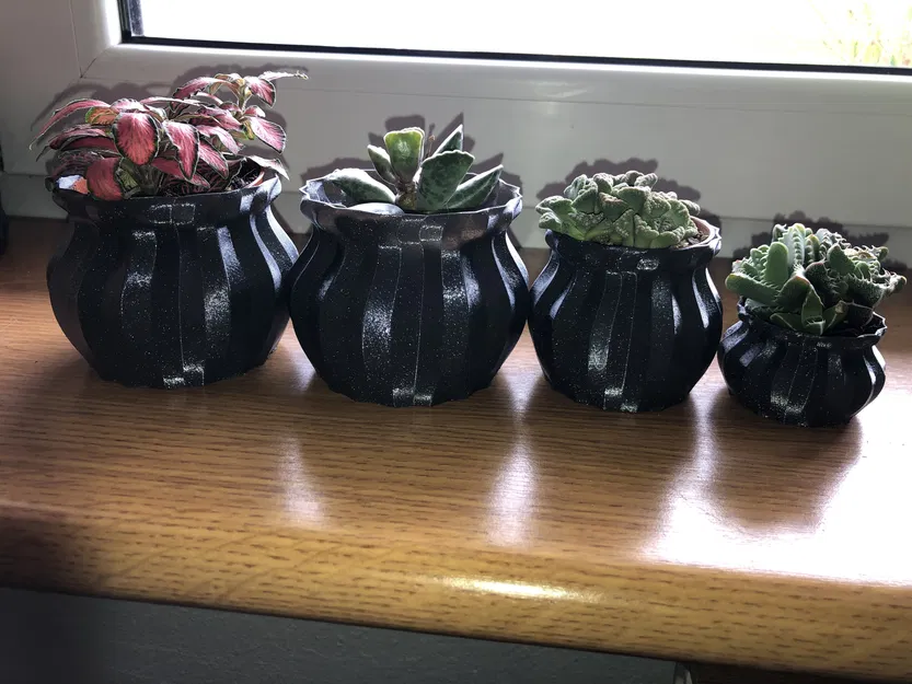 Chậu Hoa Đơn Giản Theo Chế Độ Lọ - Image 2