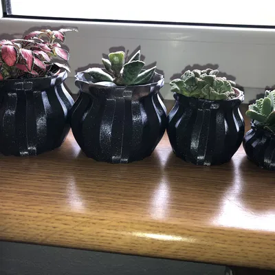 Chậu Hoa Đơn Giản Theo Chế Độ Lọ