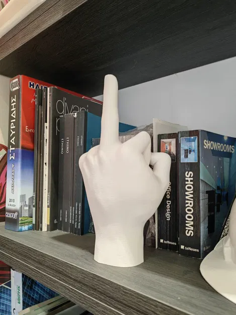 Ngón Tay Giữa Kèm Giấy Ghi Chú - Image 3