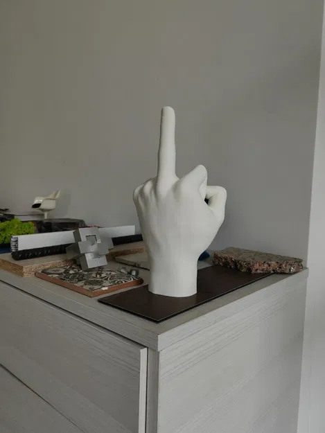 Ngón Tay Giữa Kèm Giấy Ghi Chú - Image 4