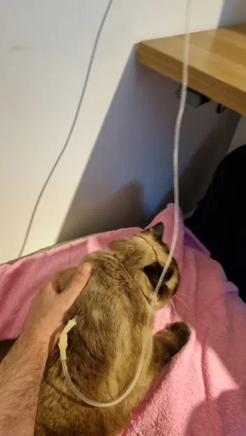 Kẹp Túi IV Cho Kệ Ikea BERGSHULT - Image 3