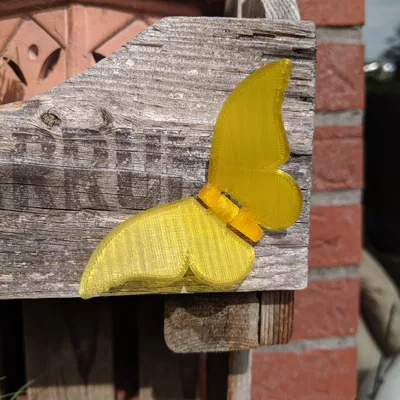 Bướm có bản lề sống - (Dán lên tường/vật thể)