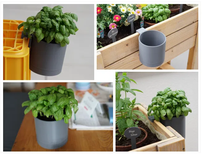 [v2] Chậu Cây Treo - Chậu có Móc Treo và Thoát Nước. Lọ Trồng Rau Thơm Treo Tường có Móc. - Image 4