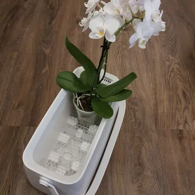 Khay Đáy Cho Chậu "Lechuza Yula Plant Bag"