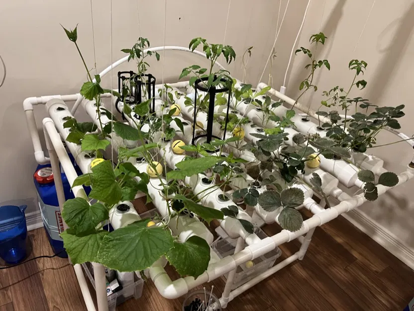 Khớp nối ống 2.5" (63mm OD) - Image 4