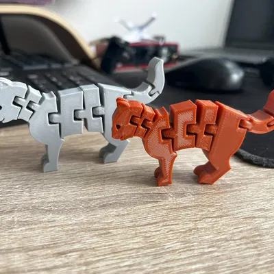 Mèo Dẻo - Flexi Cat - FxCat