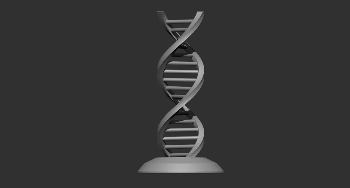 Mô Hình DNA 3D - Image 1