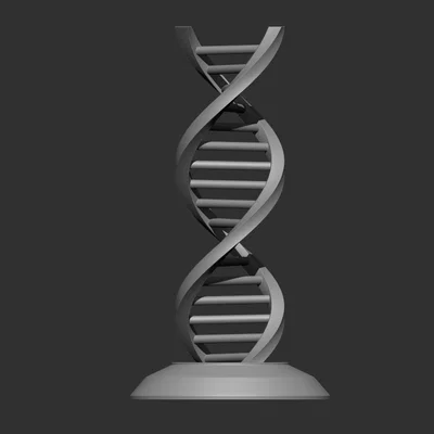 Mô Hình DNA 3D
