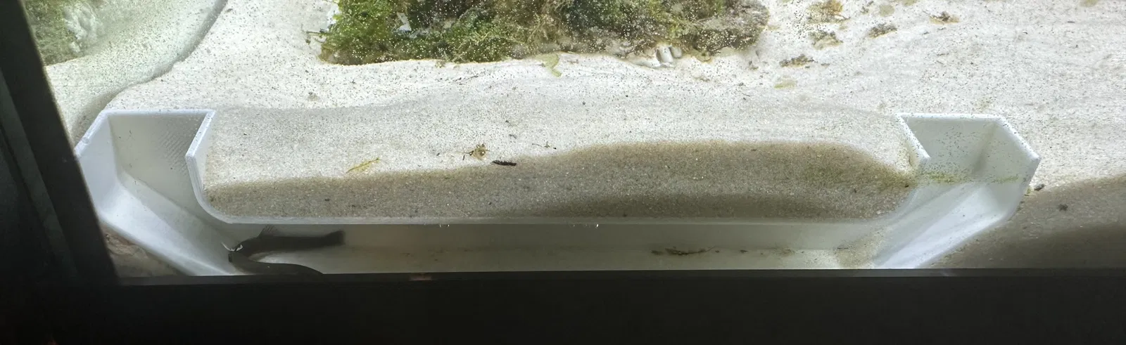 Hang Dài Để Ngắm Cá/Tép Trong Hồ - Image 1