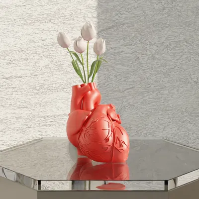 Mô Hình Tim Giải Phẫu - Bình Hoa (Trang Trí)
