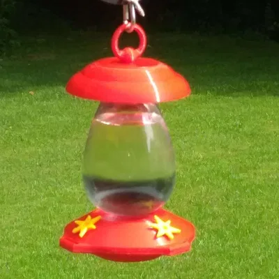 Máng Ăn Chim Ruồi Kèm Hoa