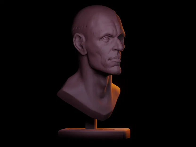 Nghiên Cứu Tượng Bán Thân - Image 2