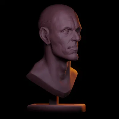 Nghiên Cứu Tượng Bán Thân