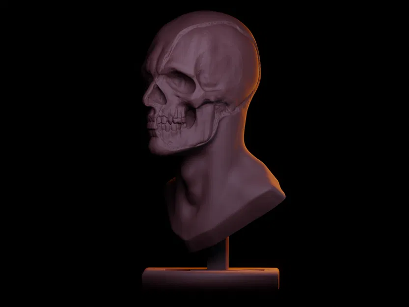 Nghiên Cứu Tượng Bán Thân - Image 3