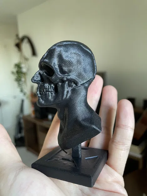 Nghiên Cứu Tượng Bán Thân - Image 4