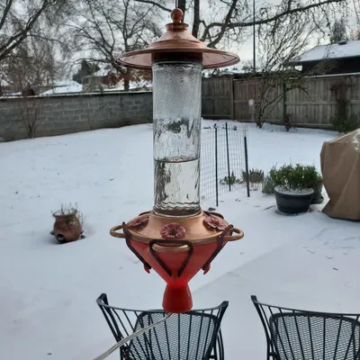 Tái Thiết Kế Bộ Giữ Ấm Bình Mật Hoa Chim Ruồi