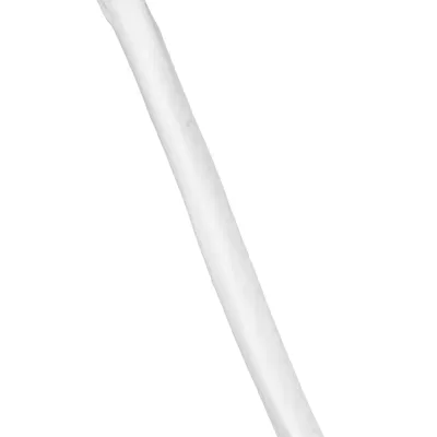 Xương Tay Trên Trái (Humerus Left)