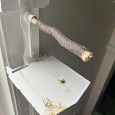 Cây Đậu Chim Có Khay Đựng Phân