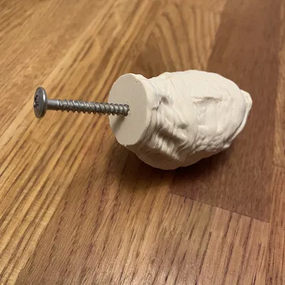 Núm tủ quần áo hình đầu rùa