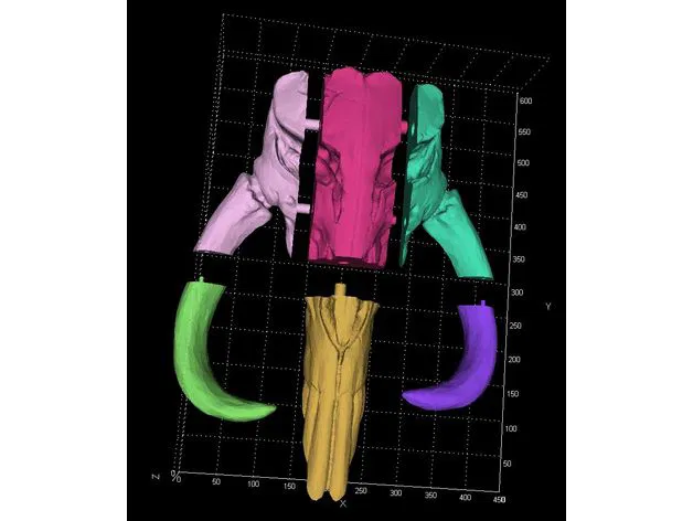 Mô hình Mythosaur Mandalorian Kích thước Siêu Lớn - Image 3