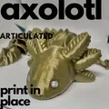 ARTICULATED AXOLOTL - Thumbnail 2