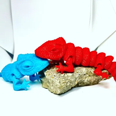 Tắc kè hoa khớp nối ARTICULATED