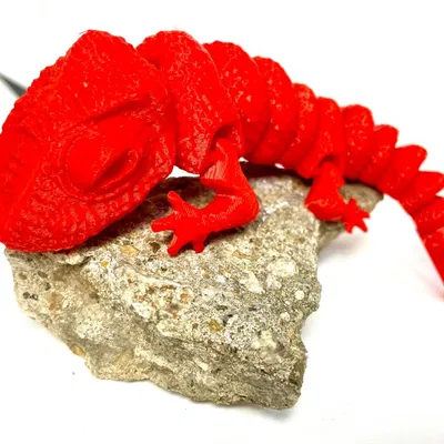 Tắc kè hoa khớp nối ARTICULATED