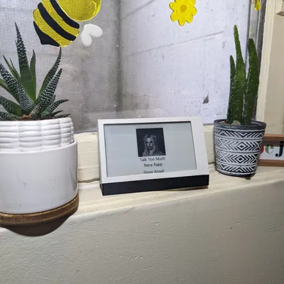 Vỏ và Đế Cho Lilygo T54 4.7