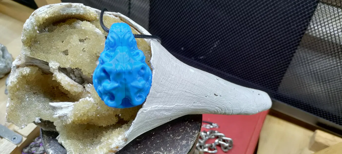 Bạch tuộc Vỏ Sò Bị Nguyền Rủa - Image 4