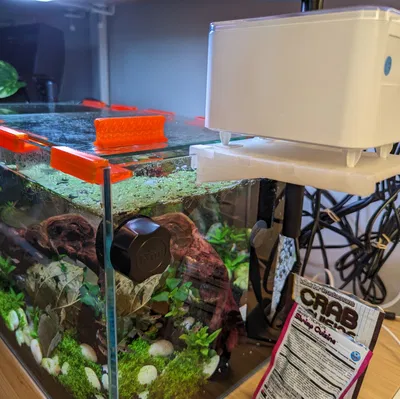 Máng ăn tự động cho hồ cá