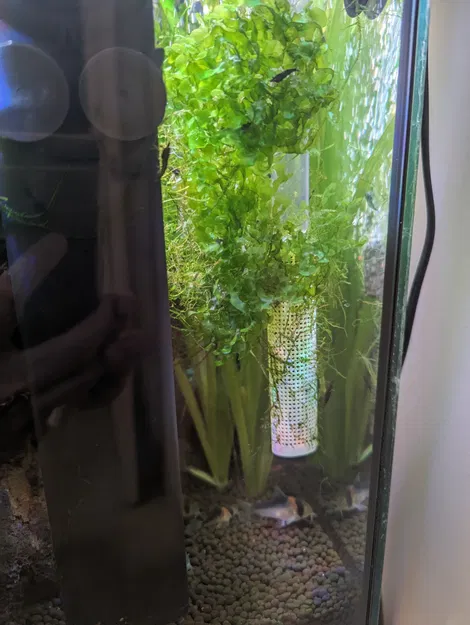 Chụp lọc hút cho hồ cá, bảo vệ tép - Ống 16mm - Image 1