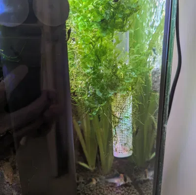 Chụp lọc hút cho hồ cá, bảo vệ tép - Ống 16mm