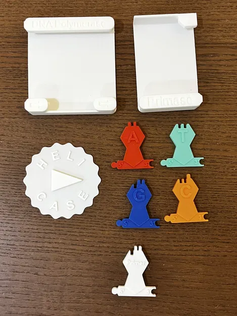 Mô hình Tái bản DNA - Image 2