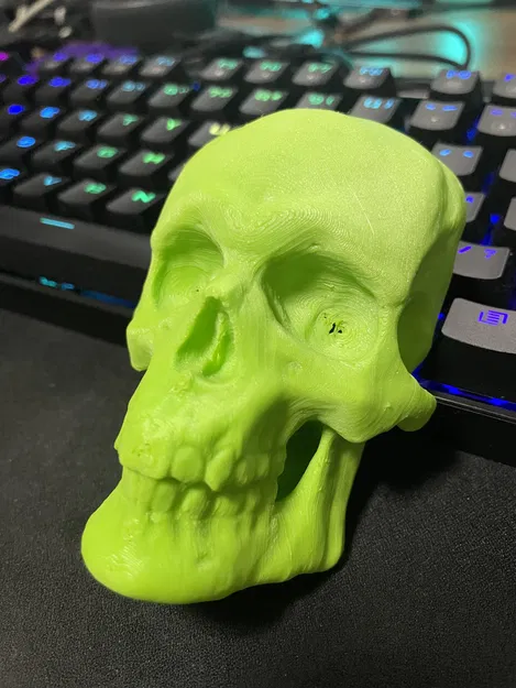 Mô hình Đầu Lâu Điêu Khắc - Image 2