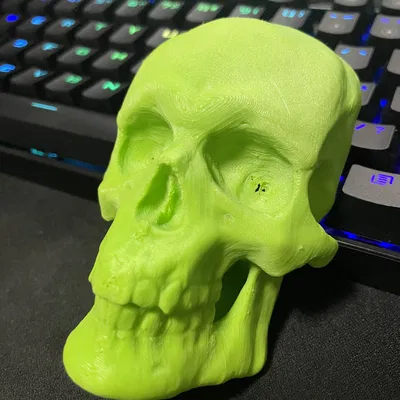 Mô hình Đầu Lâu Điêu Khắc