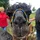 JulianSchmal_1684124