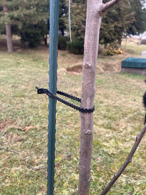 Kẹp Đa Năng "SUPERCLIP" (Kẹp Cây / Kẹp Cáp) - Image 3