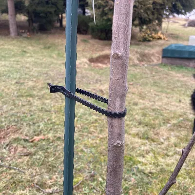 Kẹp Đa Năng "SUPERCLIP" (Kẹp Cây / Kẹp Cáp)