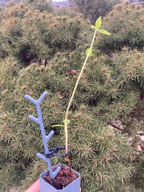 Kẹp Đa Năng "SUPERCLIP" (Kẹp Cây / Kẹp Cáp) - Image 4