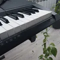 Nắp Chụp Chân Đàn Keyboard Yamaha Casio - Thumbnail 2