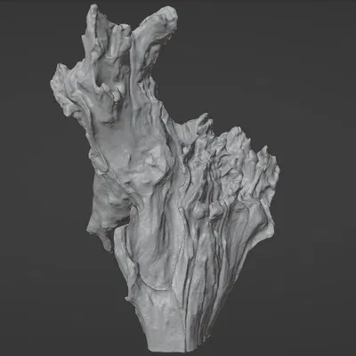 Ảnh scan 3D gỗ lũa