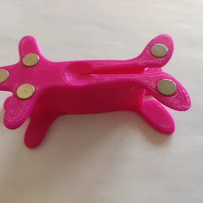 Dây Rachet - Nam Châm - Có / Không Móc // Cuộn Đai