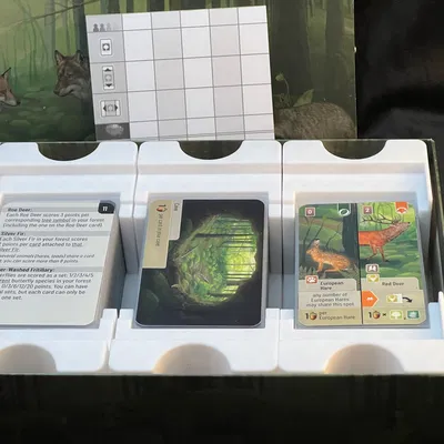 Hộp Đựng Bài Forest Shuffle (Hỗ Trợ Sleeve)