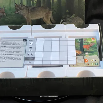 Hộp Đựng Bài Forest Shuffle (Hỗ Trợ Sleeve)