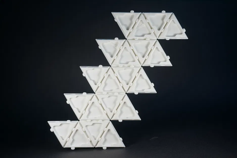 D20 Biến Hình Cảm Hứng Baldur's Gate 3 - Bản Đa Vật Liệu / AMS - Image 2