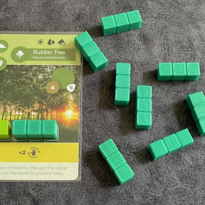 Token đất 5x cho board game Earth
