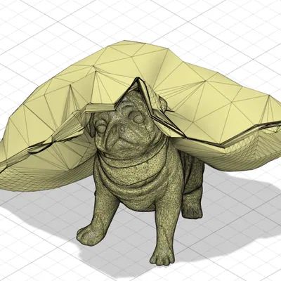 Chó Pug Nhìn Trộm Qua Gối