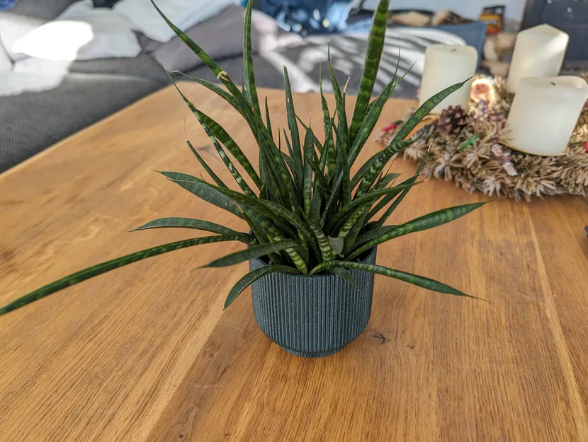 Chậu Hoa và Bồn Trồng Cây - Image 1